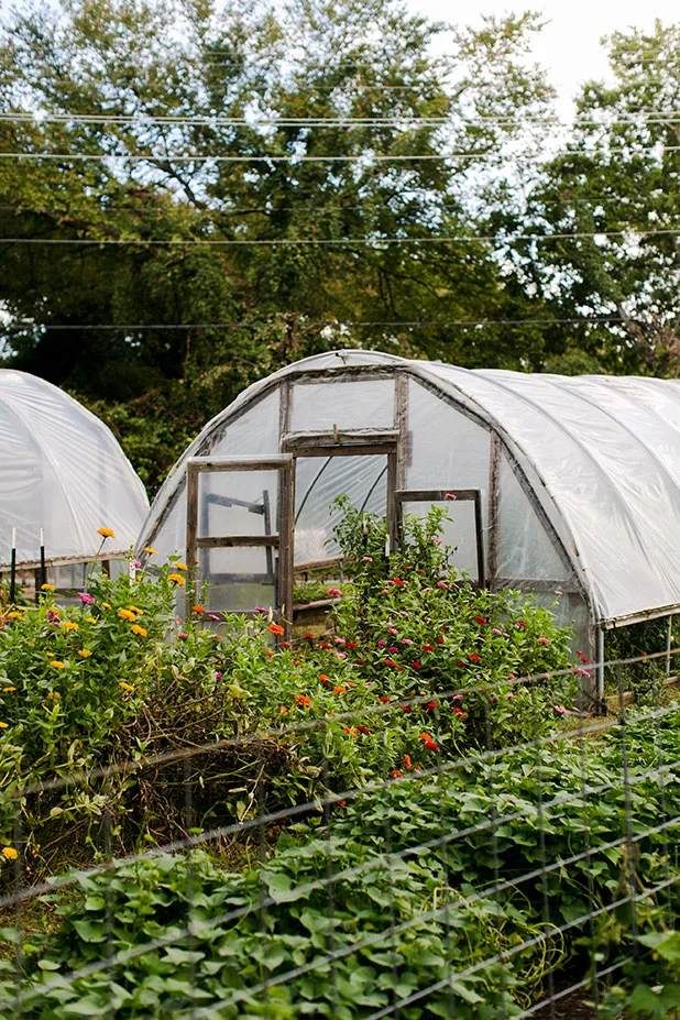 Urban_Farm_Tour-Sarah_Der-059.jpg