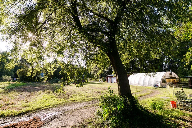 Urban_Farm_Tour-Sarah_Der-157.jpg