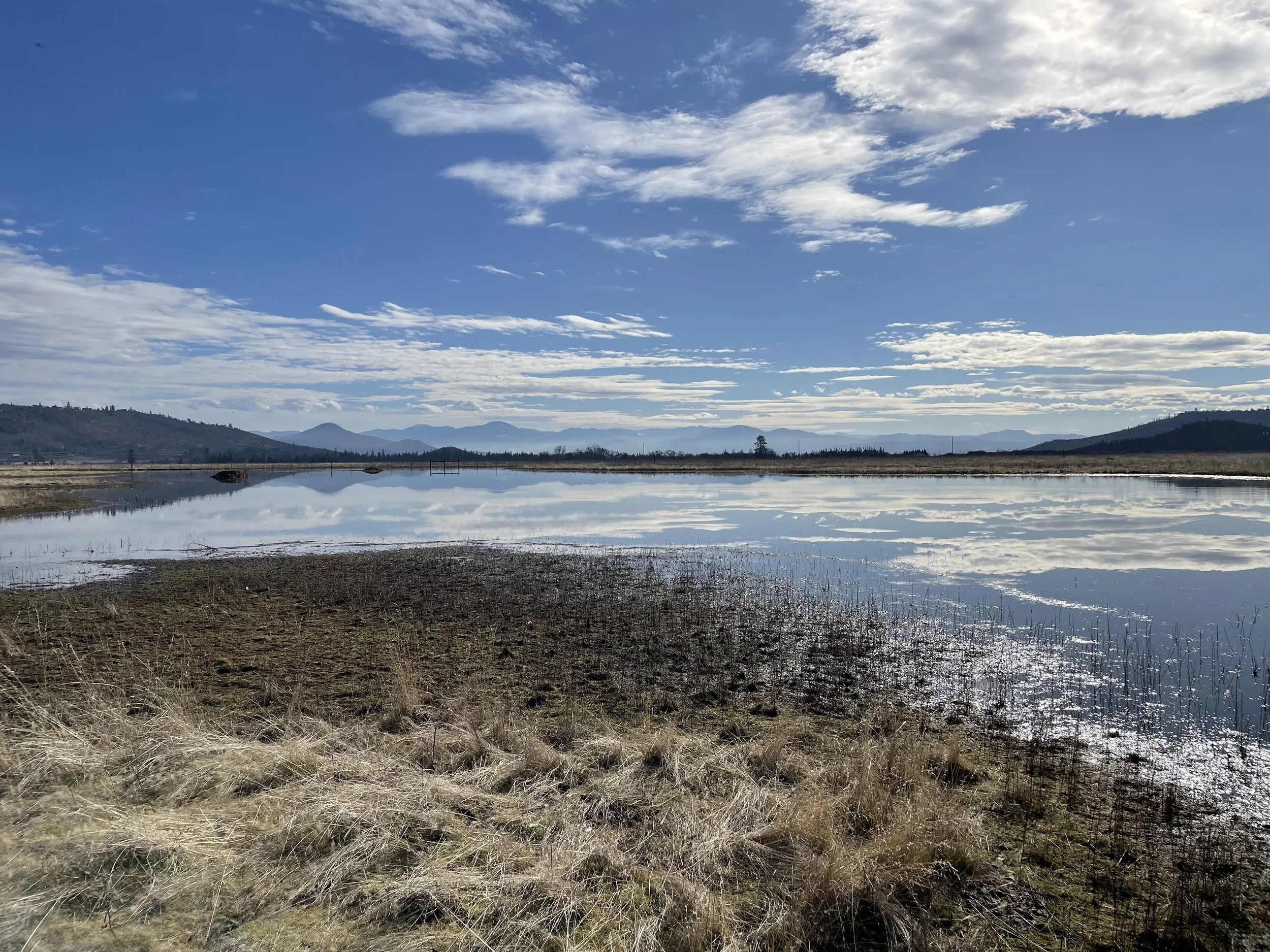 The Clean Water Act of 2023: Understanding Its Implications and Why Rogue Riverkeeper Stands Watchful