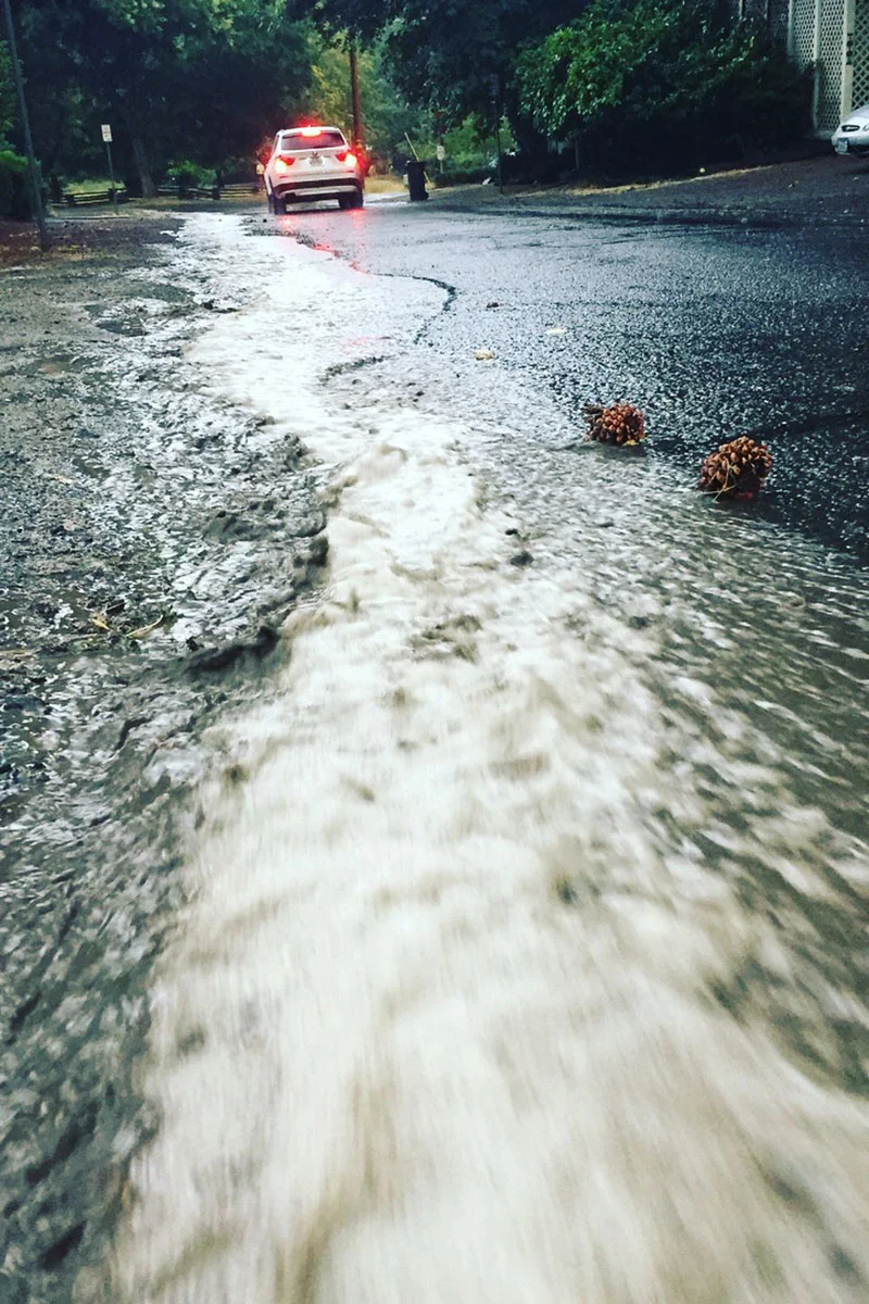 polluted_runoff_2_3x2.jpg