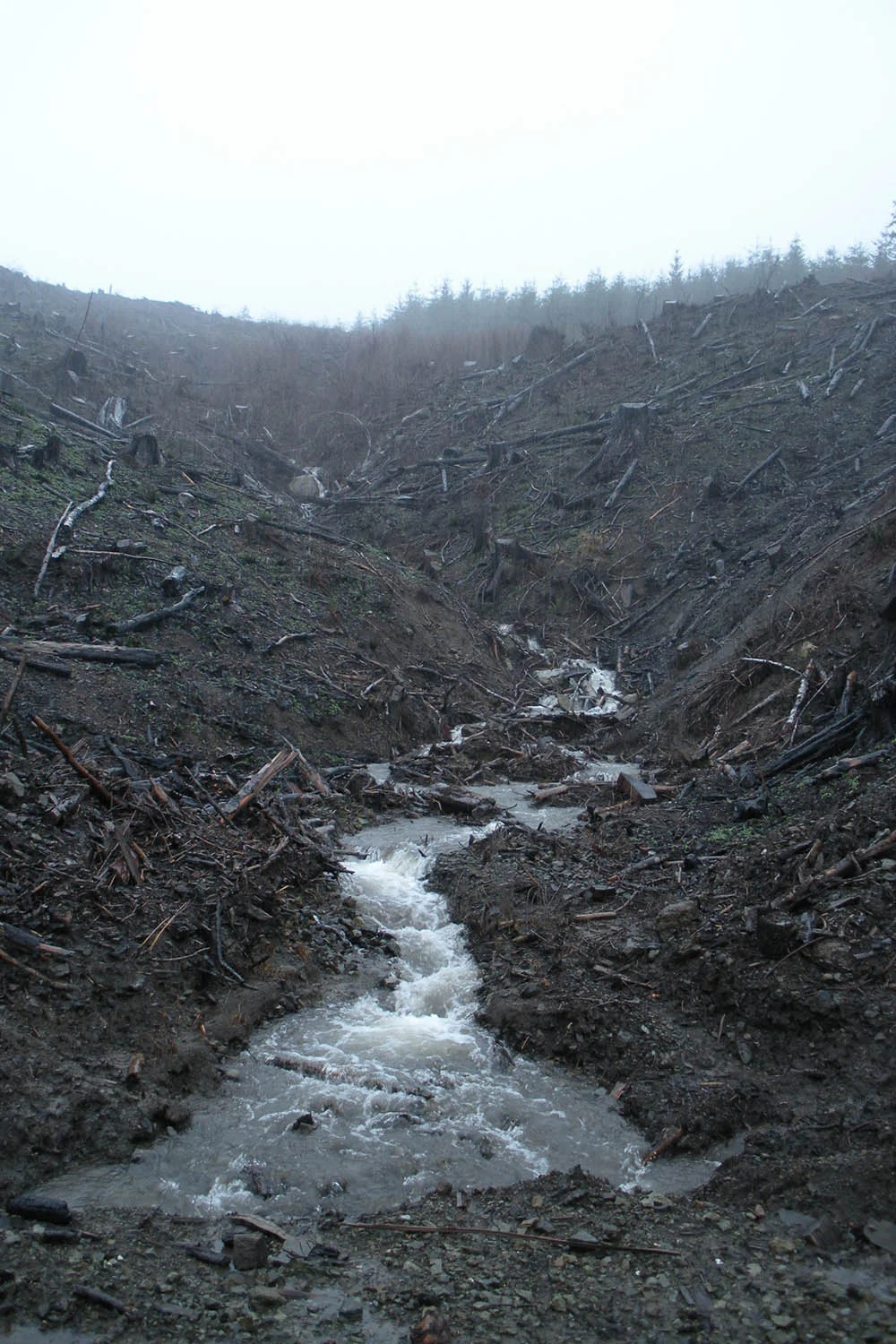Forestry practices