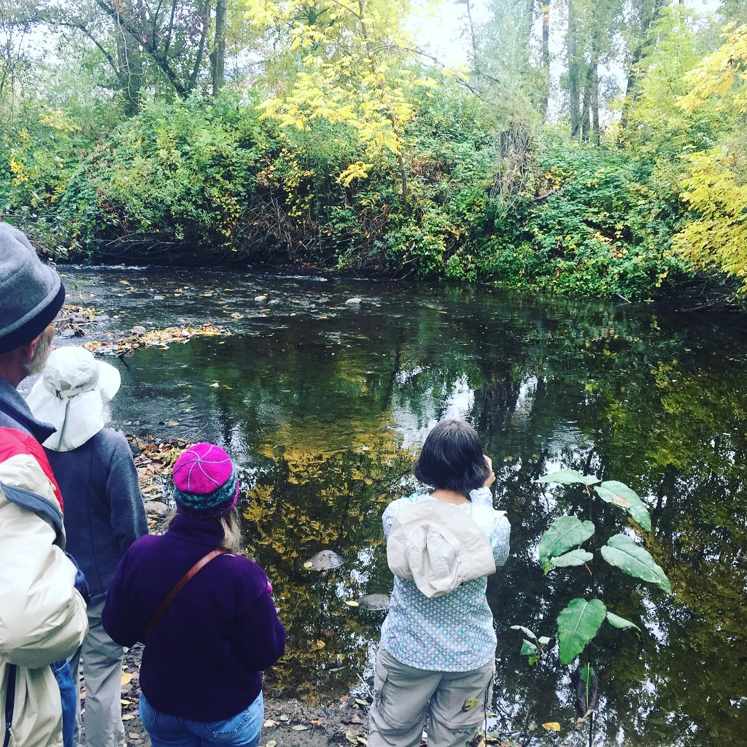 Turning Toward Bear Creek