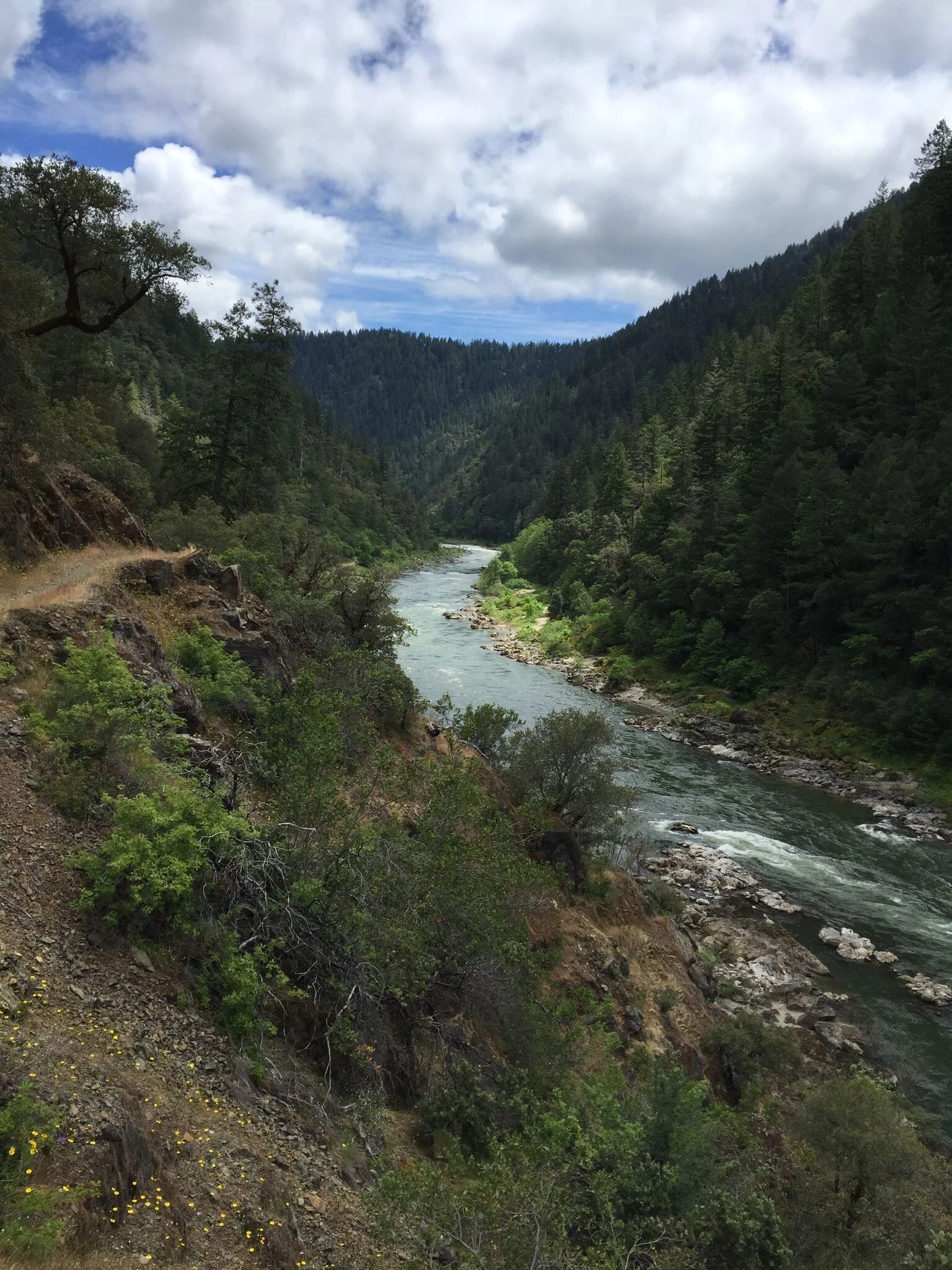 The lower Rogue cuts a deep canyon through the geologically complex and remote Klamath-Siskiyou Mountains.