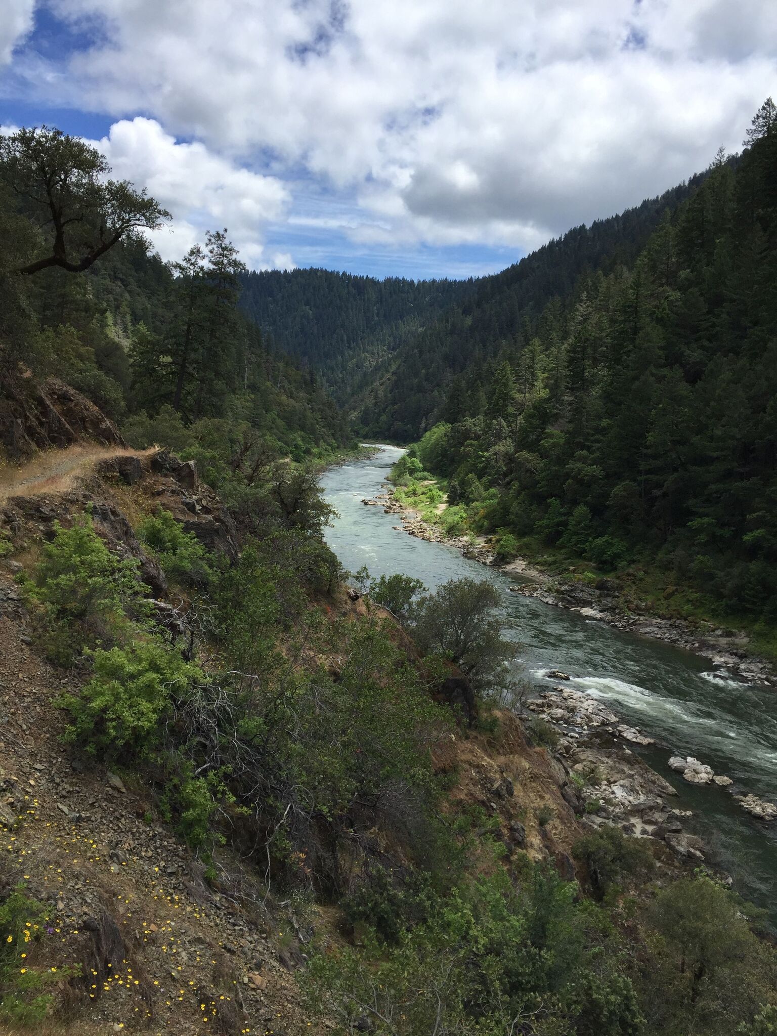 The lower Rogue cuts a deep canyon through the geologically complex and remote Klamath-Siskiyou Mountains.