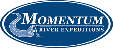 momentum.png