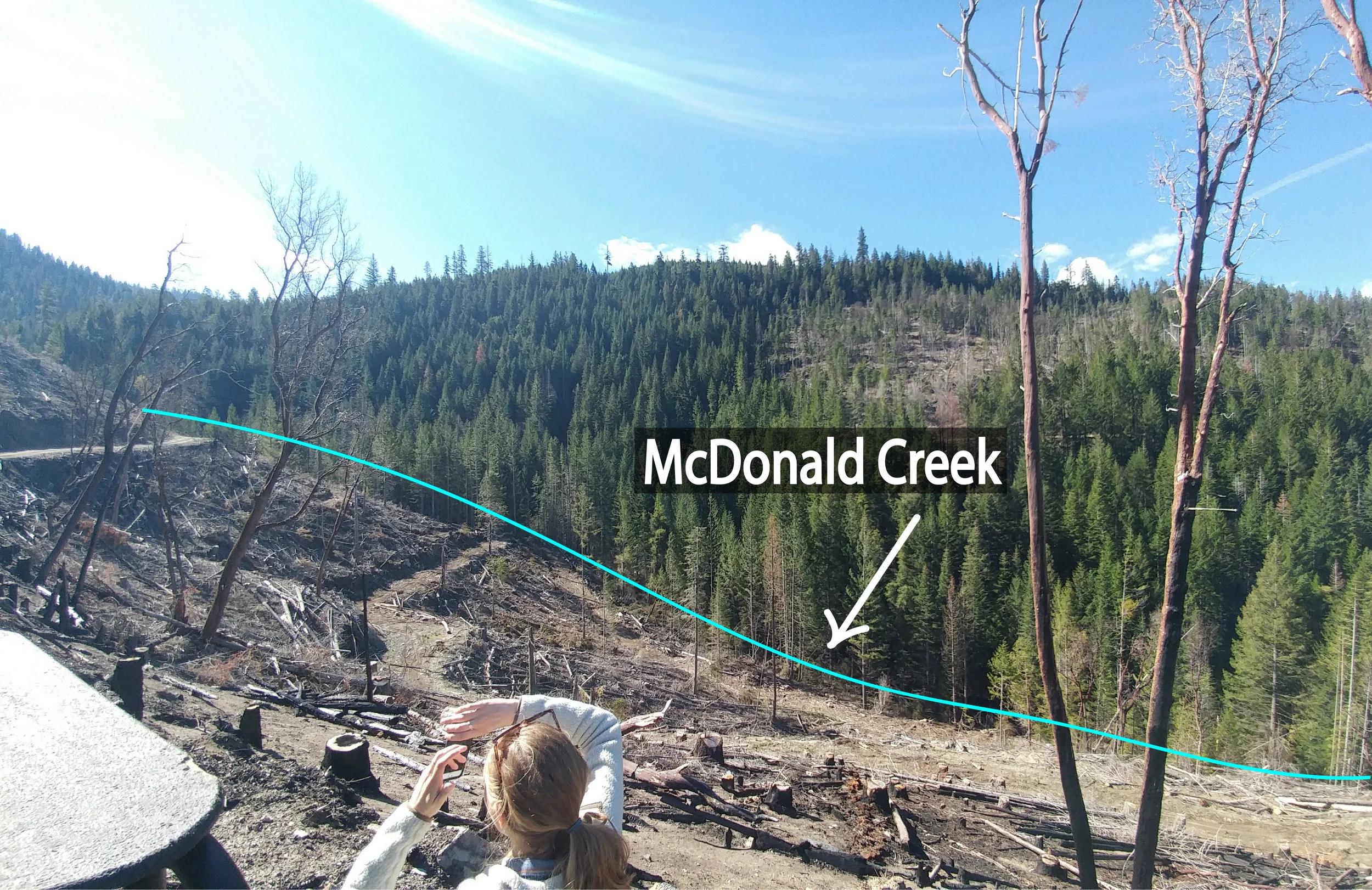 Logging practices, including herbicide application , along McDonald Creek.