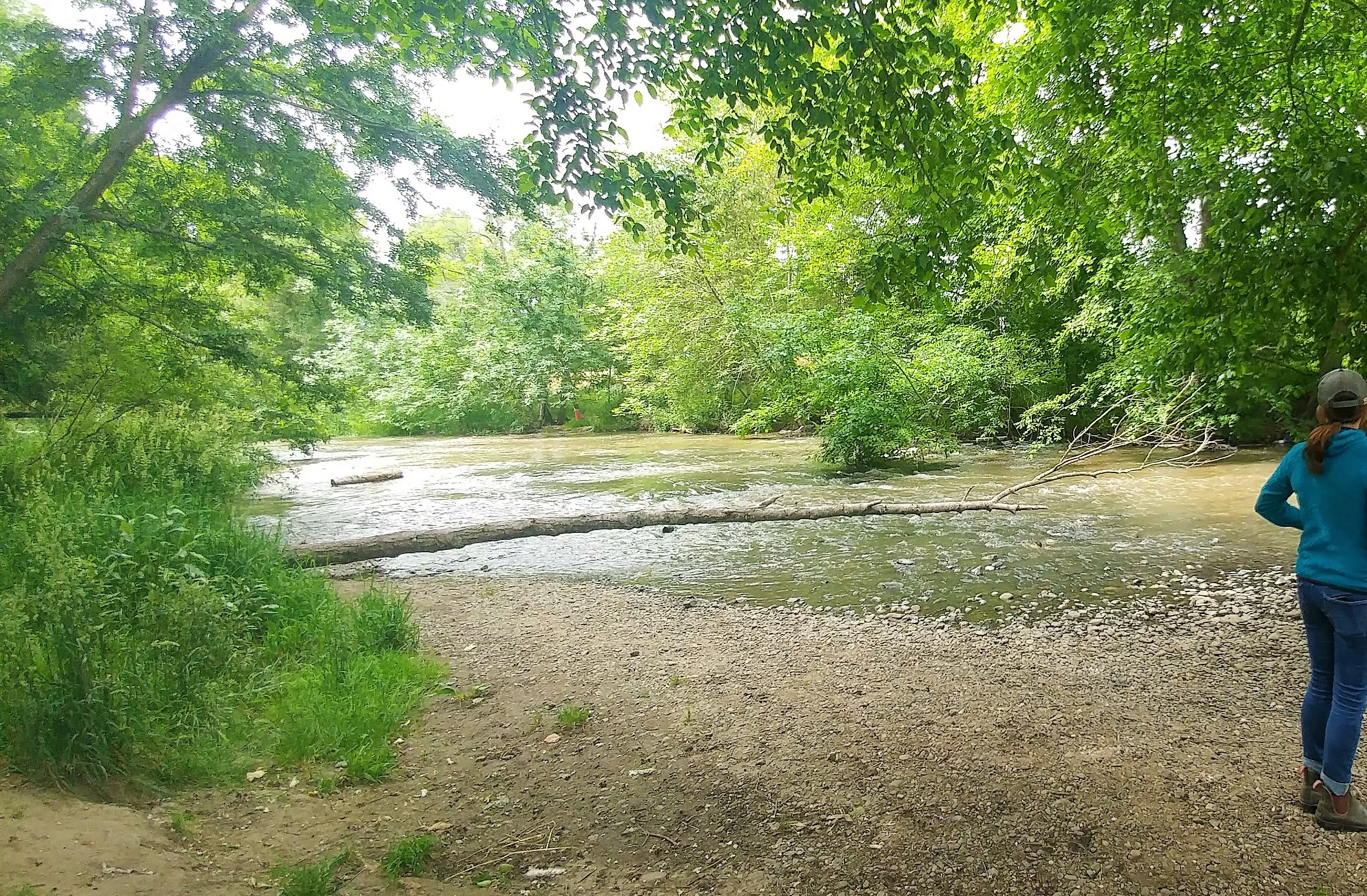Bear Creek, Bear Creek Park, Medford