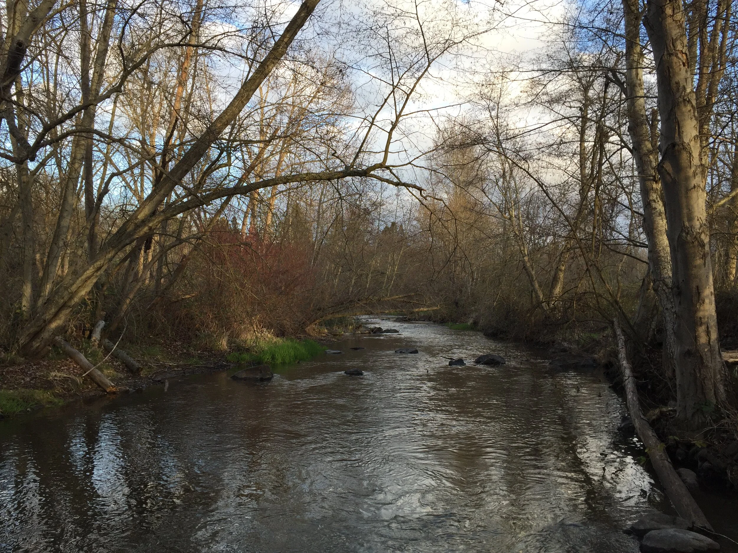 Connect with your neighborhood creeks + streams!
