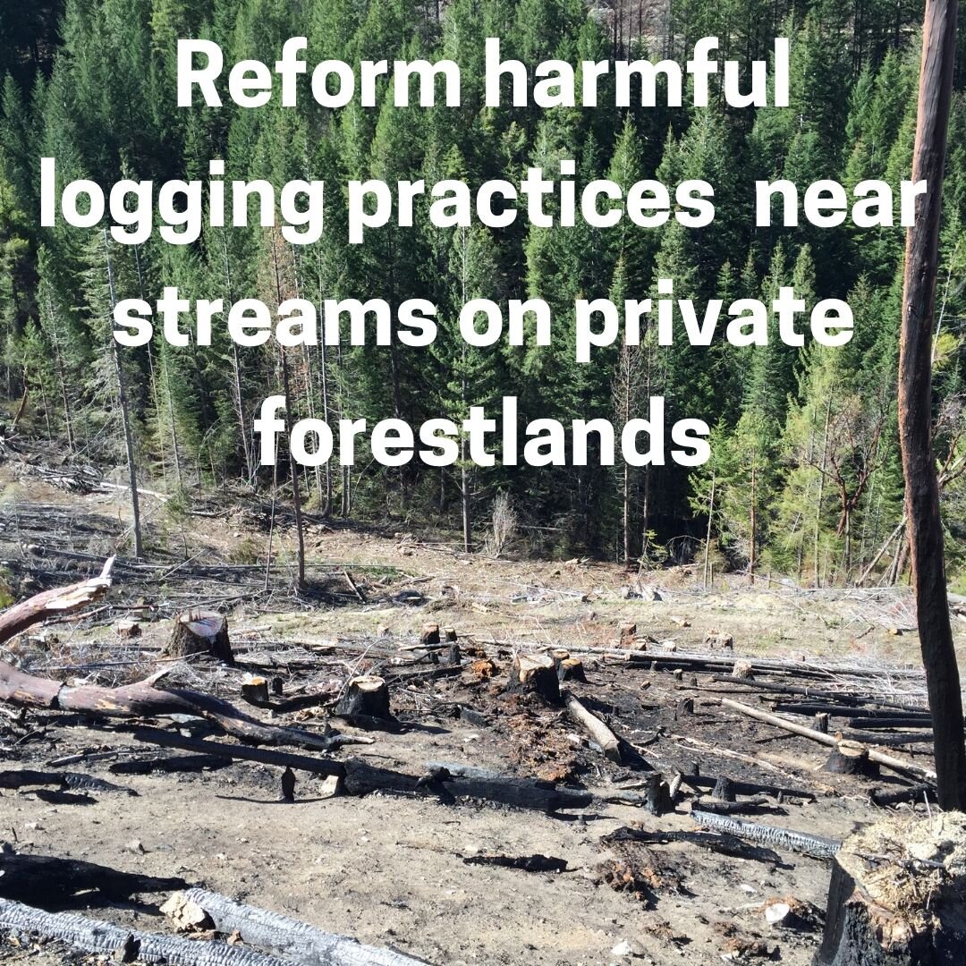   Streams in southern Oregon are still left with weaker protections for how close trees can be cut near streams. There’s no excuse to exclude the Siskiyou – the science doesn’t support it, the law doesn’t support it, and our streams and salmon can’t 