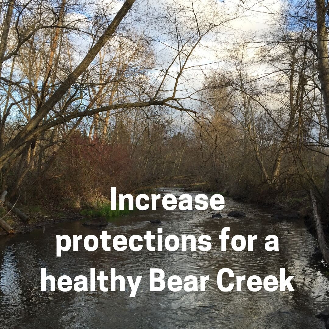   Bear Creek is one of the most polluted waterways that flows into the Rogue, yet it’s also where many people in the Rogue watershed live! This year,    we adopted a section of the Bear Creek Greenway    to host monthly clean up’s and grow community 