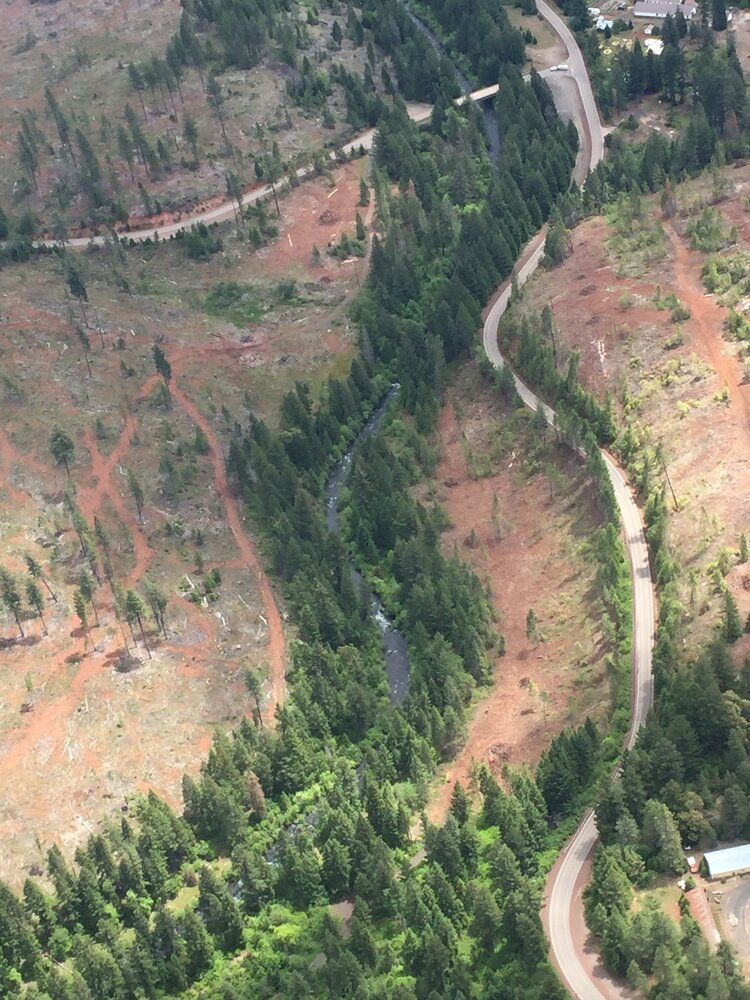 An aerial view of Big Butte Creek, a tributary to the Rogue, flowing through private forestlands.