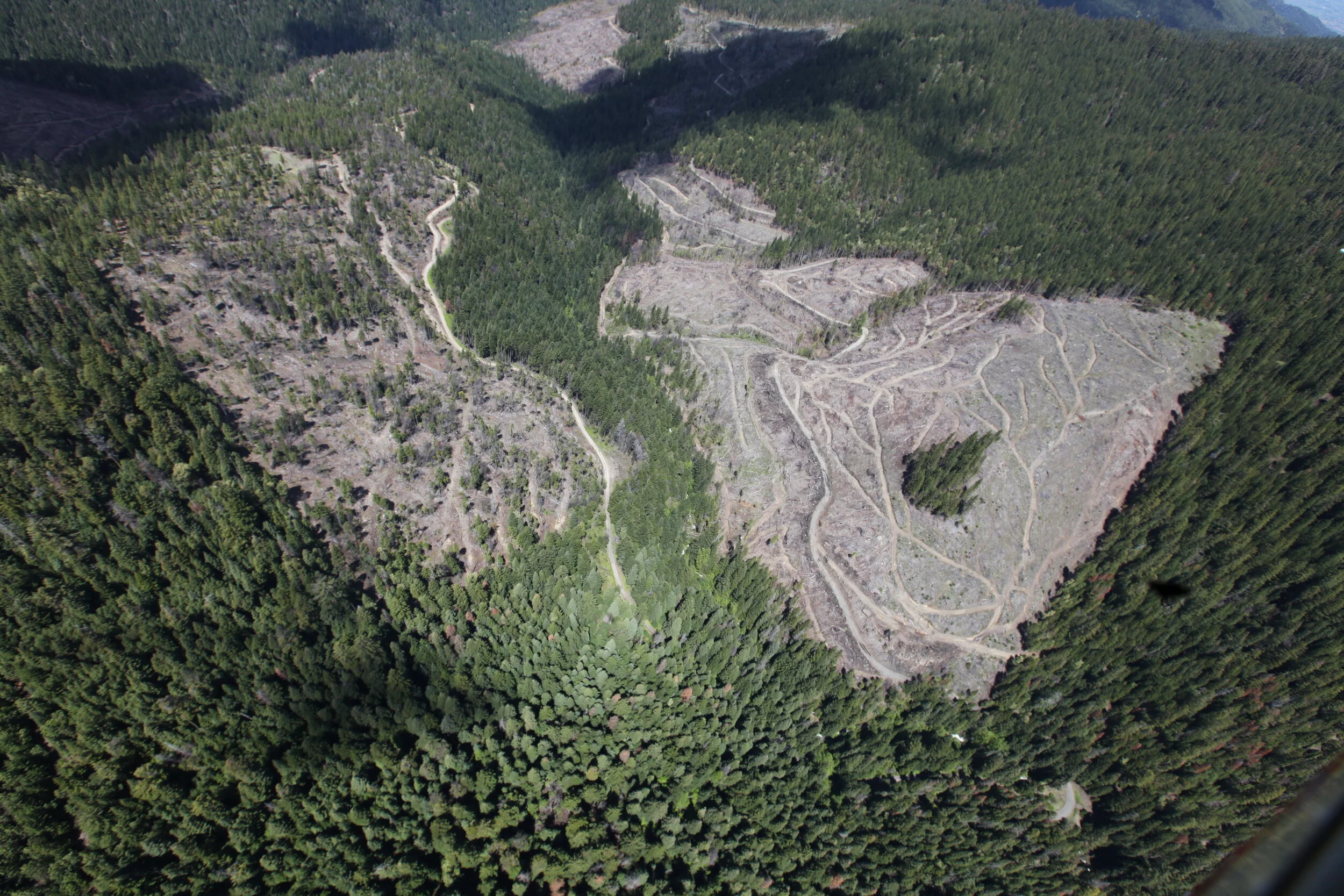 Oregon Legislature Passes Bipartisan Private Forestry Reforms