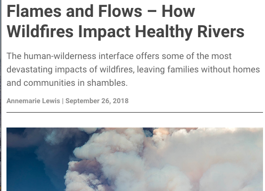 Flames and Flows