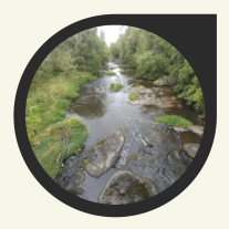 Recent Work with the Bear Creek Restoration Initiative