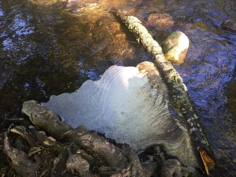 Water Quality Concerns? Here's How To Report Them