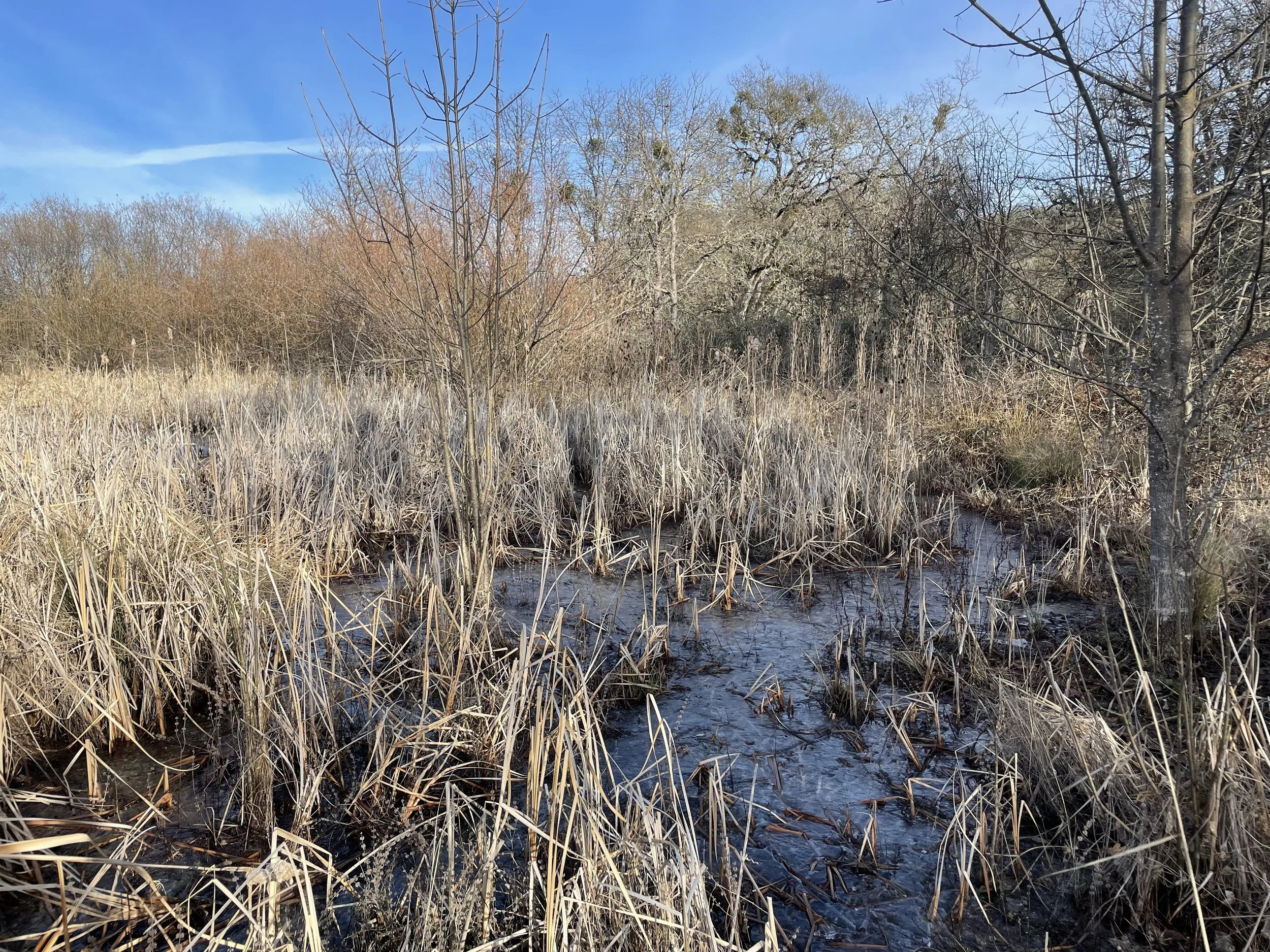 Protecting Water Resources: It Starts at the Tributaries