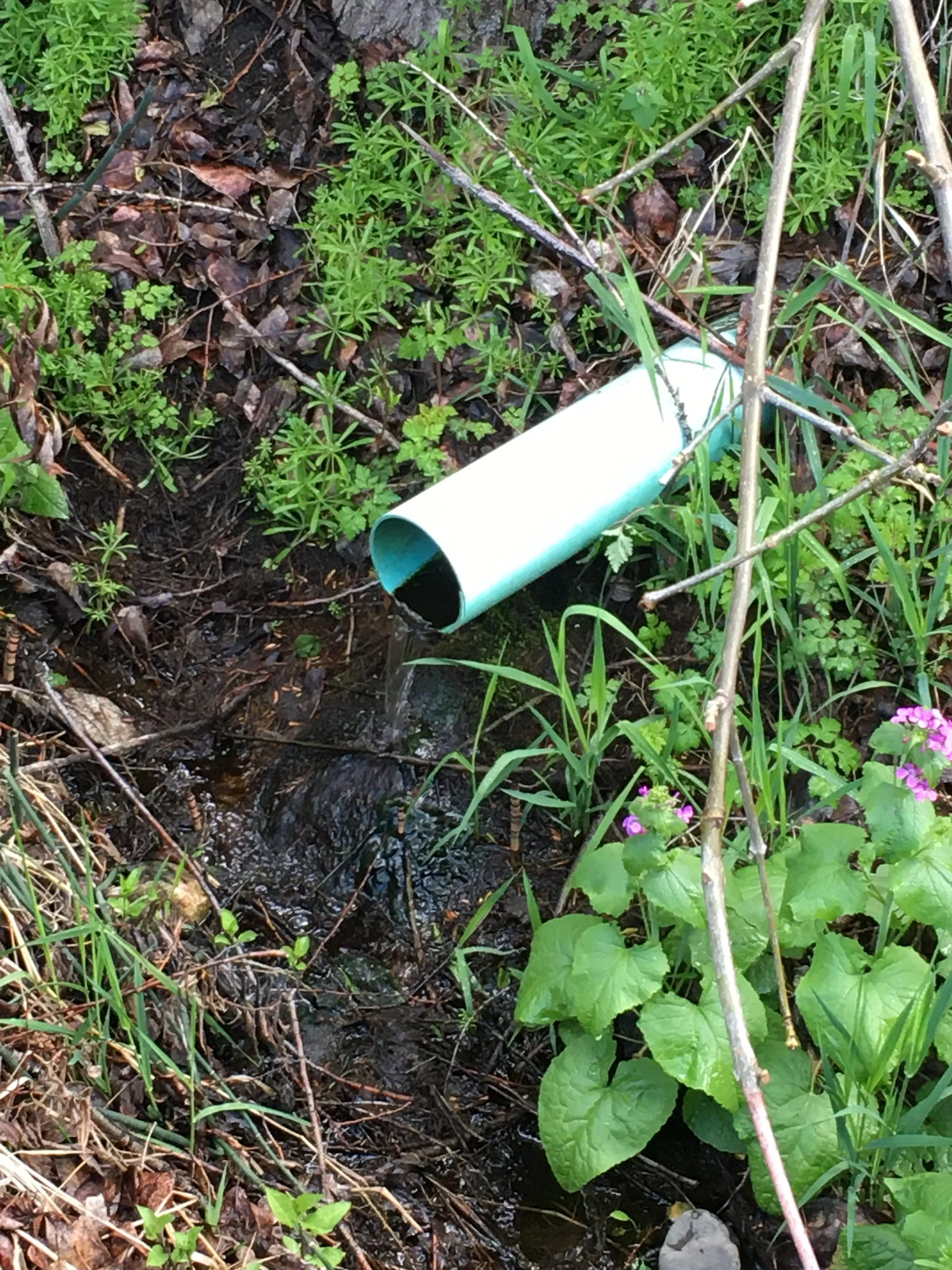 The Long-Term Impacts from the Bear Creek Oil Spill Remain to be Seen