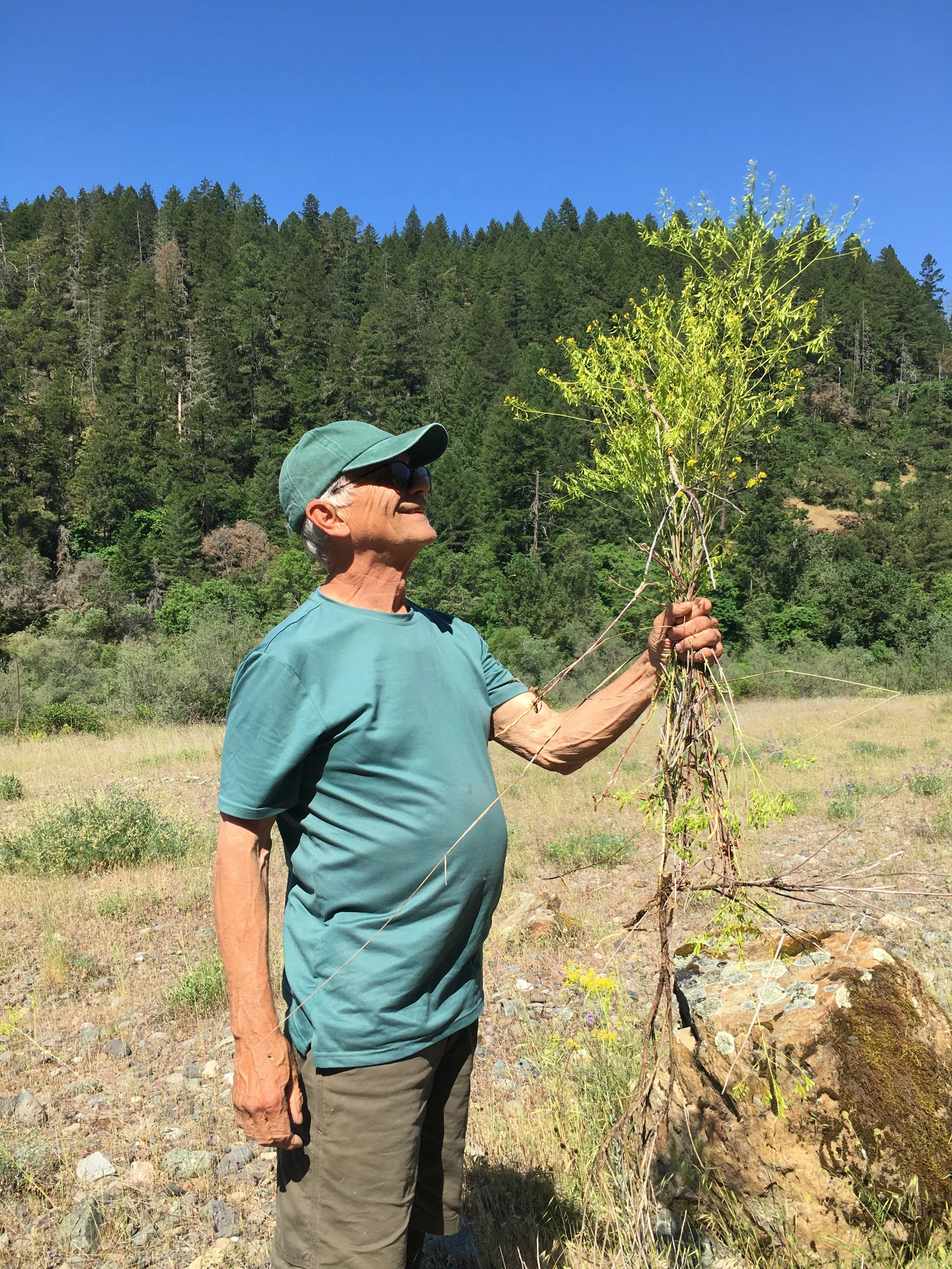 32nd Annual Rogue River Clean-Up &amp; Let's Pull Together!