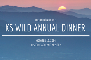 The Return of the KS Wild Annual Dinner