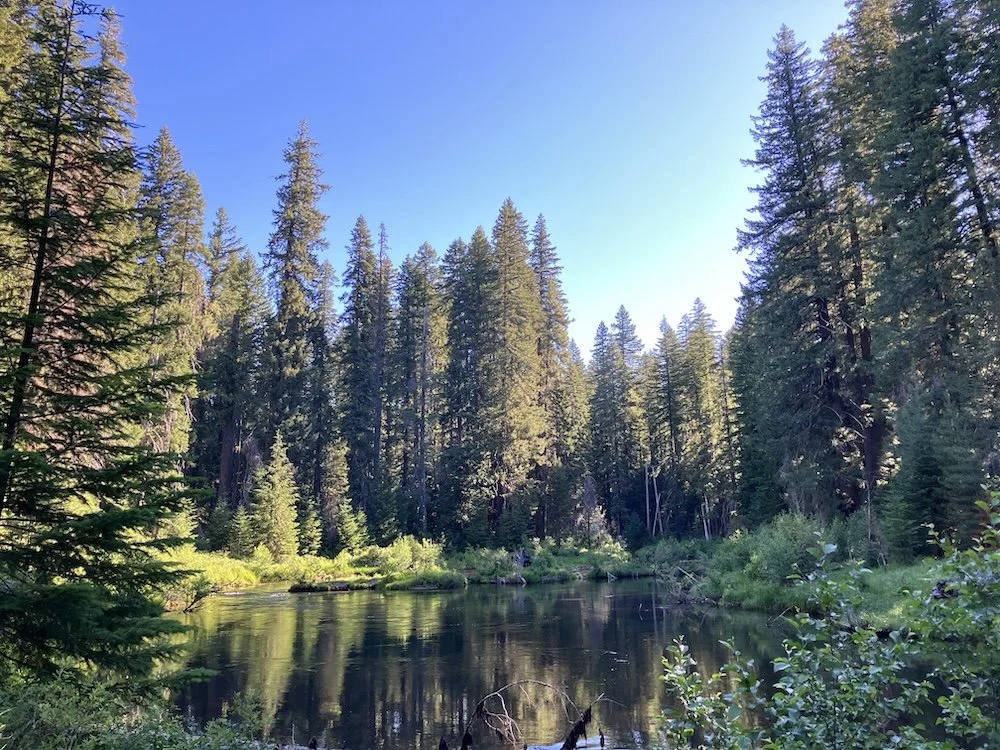 Upper Rogue River Old-Growth Hike