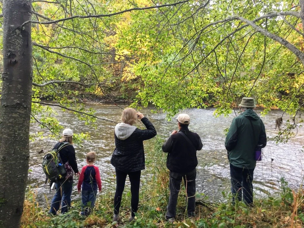 Salmon Viewing Happy Hour at Provolt Recreation Site