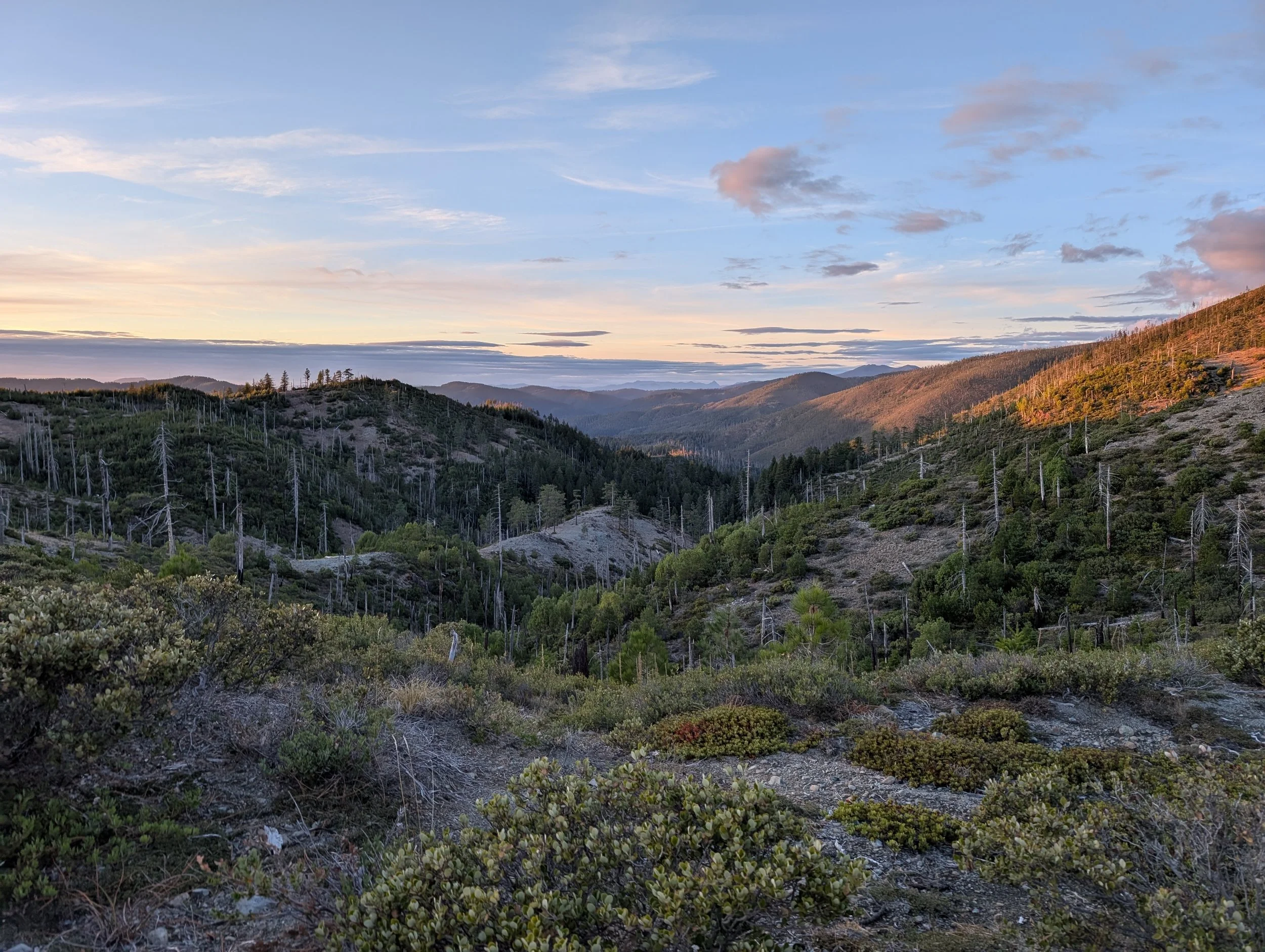 Cleopatra Mountain &amp; the North Fork Smith River Watershed: A wonderland of geology &amp; botany