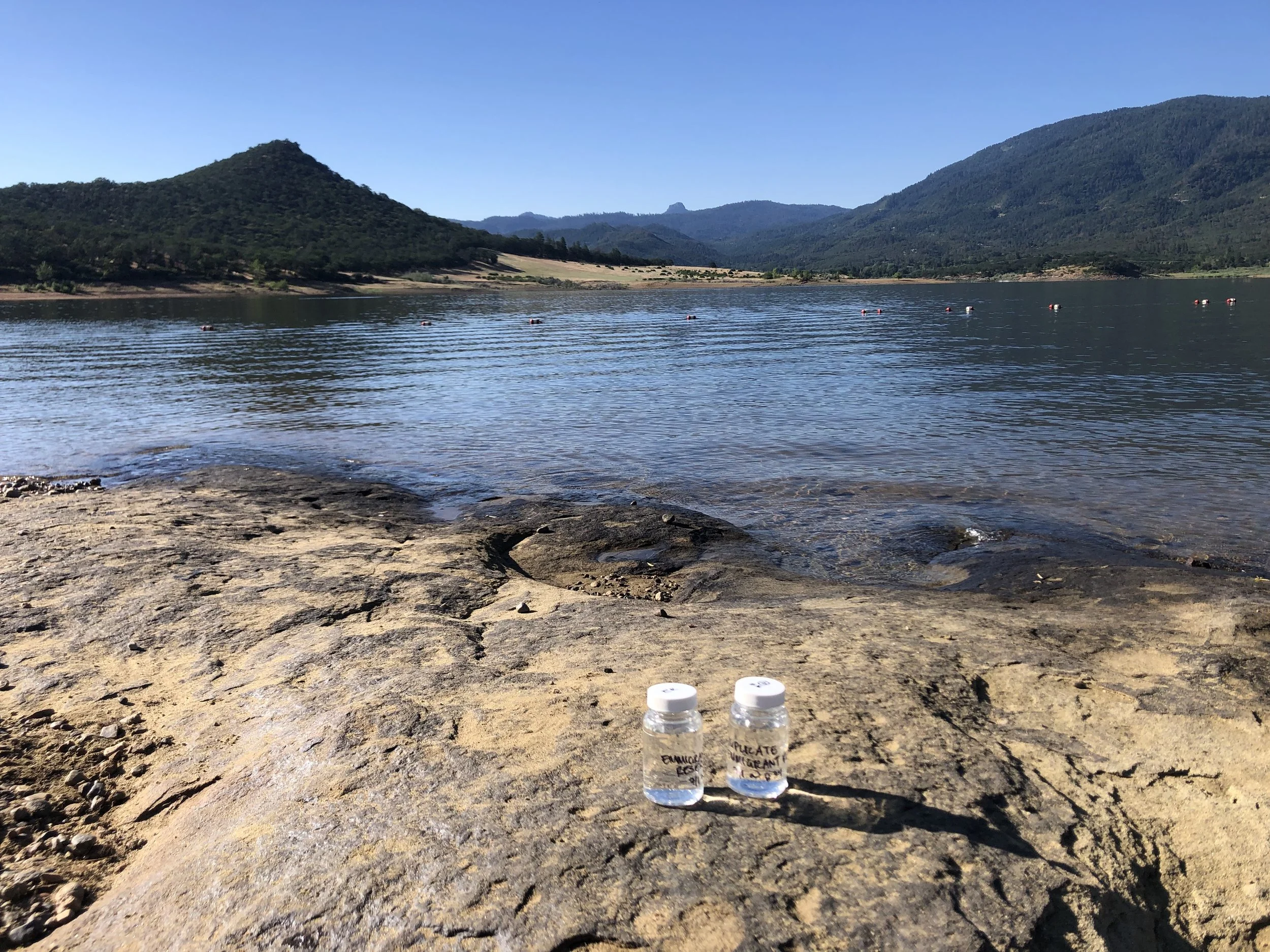 Dry Winters Affect Summer Water Quality