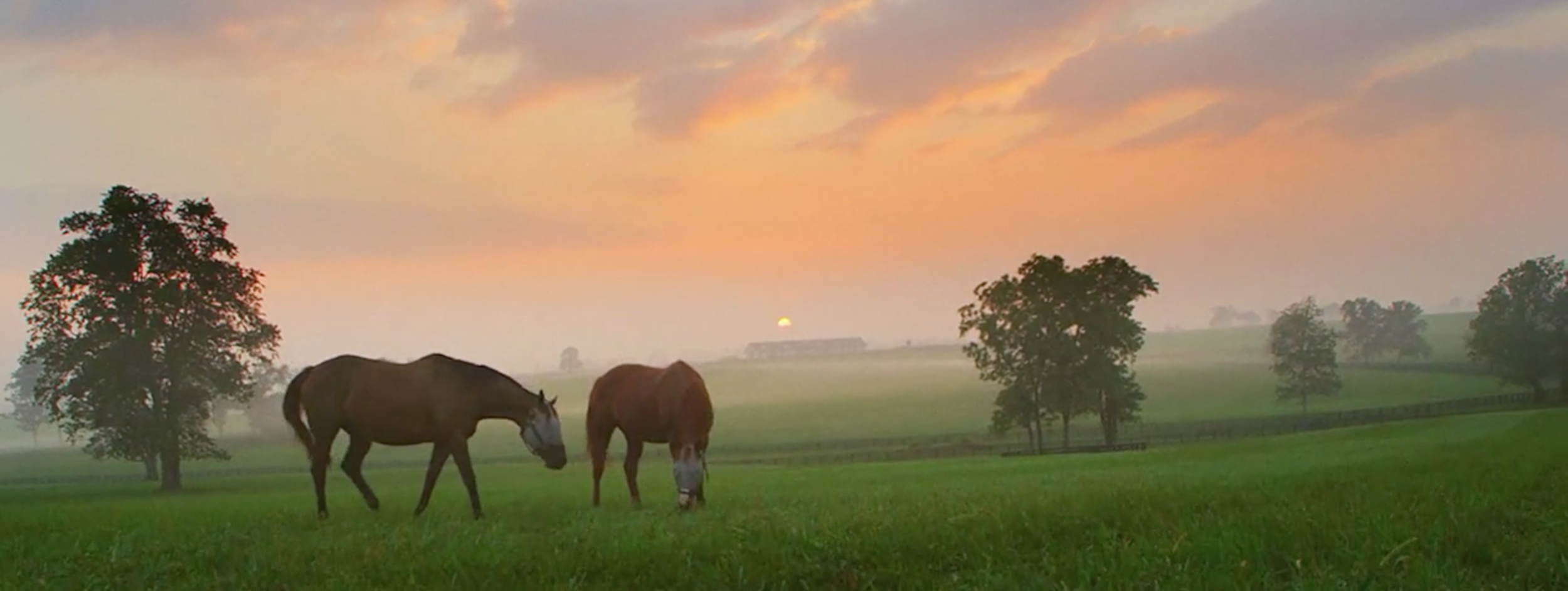 Screen Shot 2017-07-06 at 11.54.01 PM.png