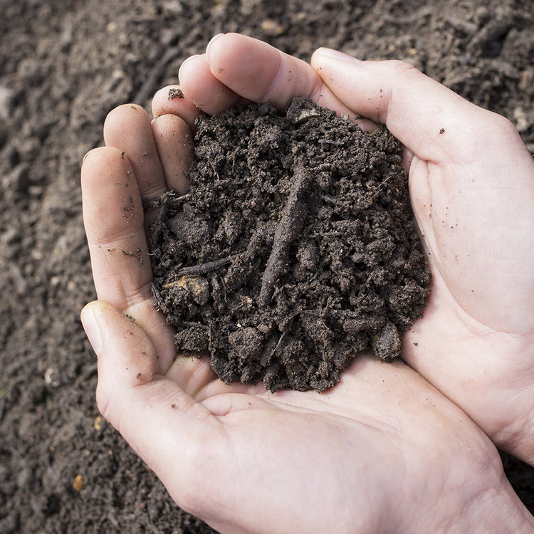 Garden Turf Soils — Andover Turf Company