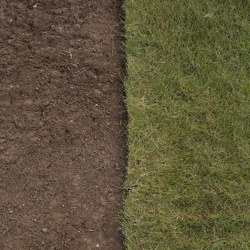 Andover Turf