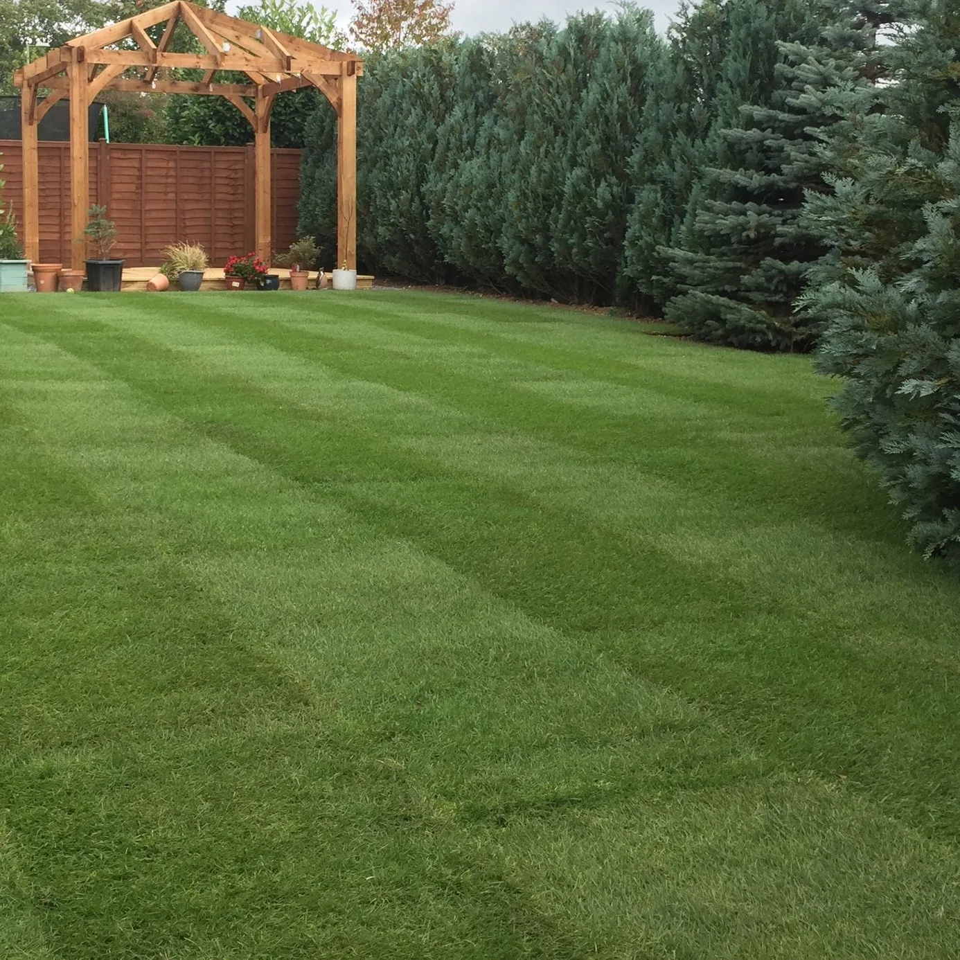 Before laying the turf...