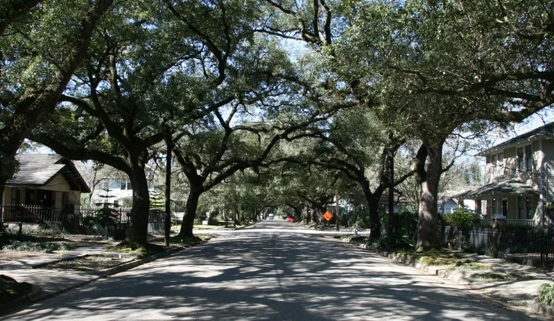 Street in The Heights.jpg