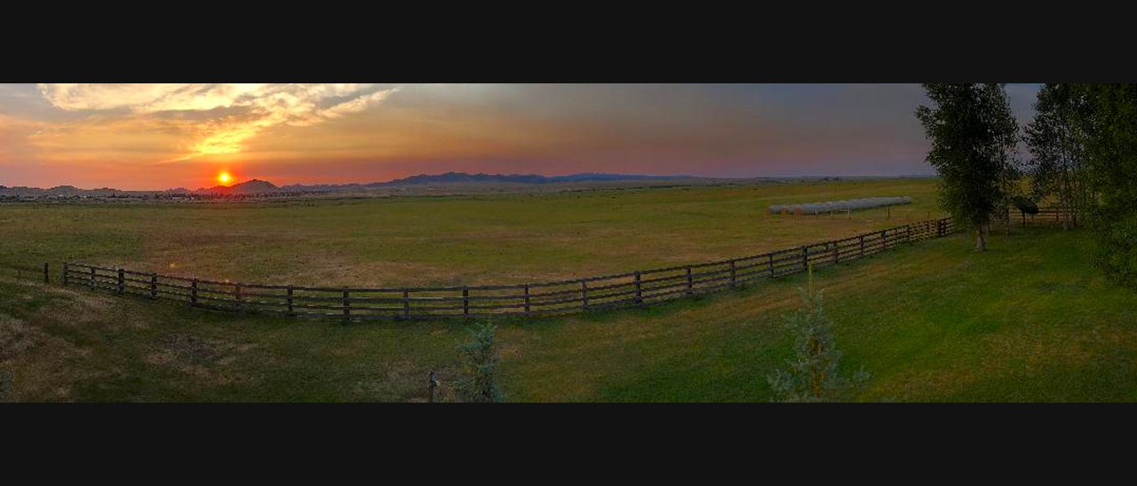Forest fires in tinder-dry Colorado have left much of the state under a smoky haze. That layer of smoke produced this blood-red sunrise over the twin cities of Westcliffe and Silver Cliff at 6 a.m. Saturday. We are spending a week at the Ute Springs Ranch owned by Cara’s mother, Jan Roberts. Every year we experience something new and dramatic. A year ago, a neighbor dog was bitten in the head by a rattlesnake and survived. About eight years ago I videotaped the incredibly sad but heroic act of a young horse trying to lovingly but forcefully stop a dying horse — its long-time stablemate -- from giving up. This year it is a pair of yet-to-fly baby Horned owls who live in two trees next to the main ranch house. They are so young their feathers are still downy. Check back for updates on them. Photos: Norm Clarke 
