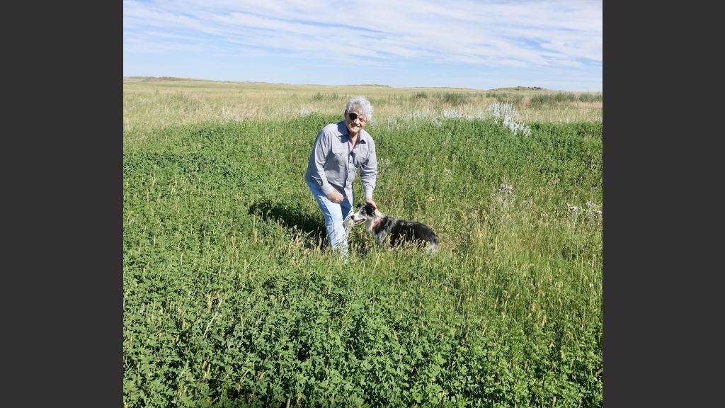 The deep green vegetation is the site of my father's home near the Terry Badlands.