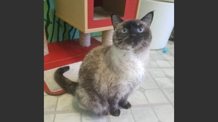 Bonnie