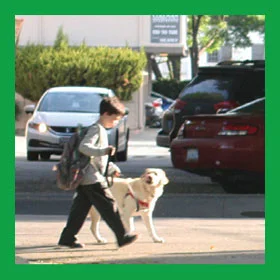 Boy-with-Dog-from-PDF-Postcard-250x250-30GreenCanvas-Web.jpg
