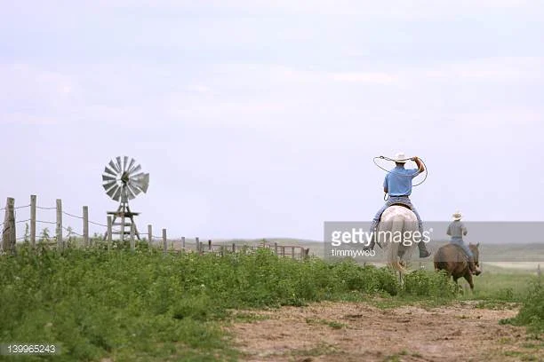 Nebraska Cattlemen's Winter Ball