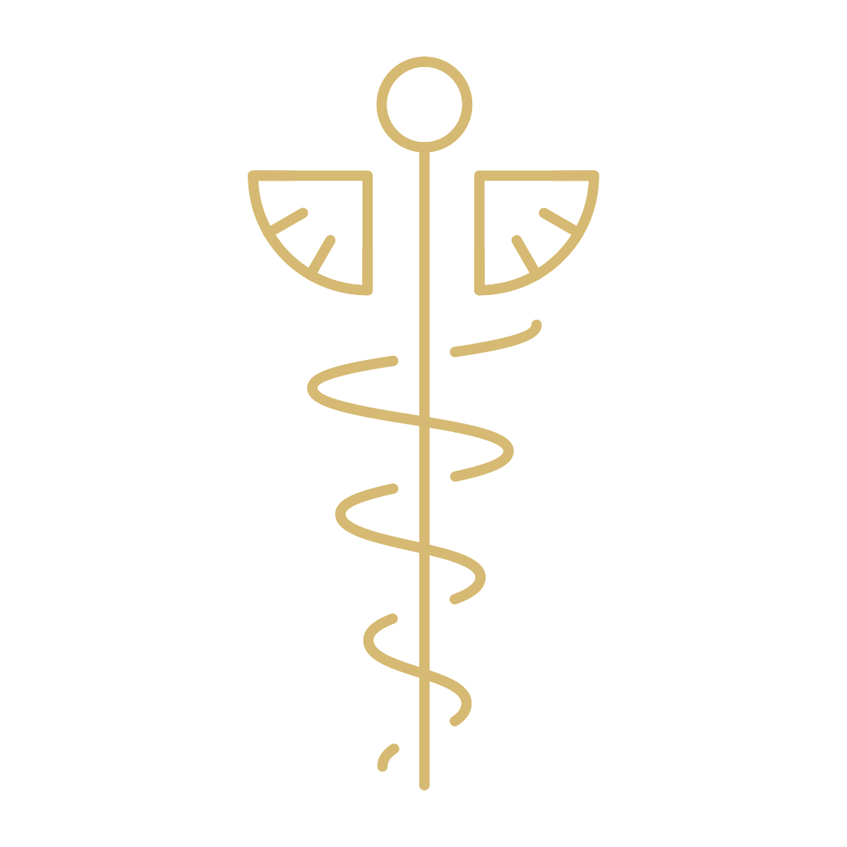 medical symbol.png