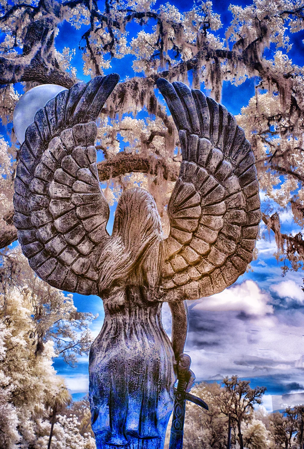 Angel and the Sword 2.jpg
