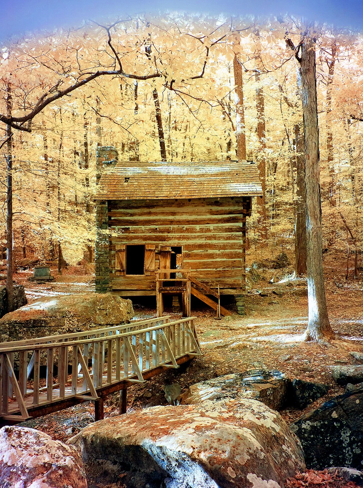 Tishomingo Dreamhouse 8x10 copy.jpg