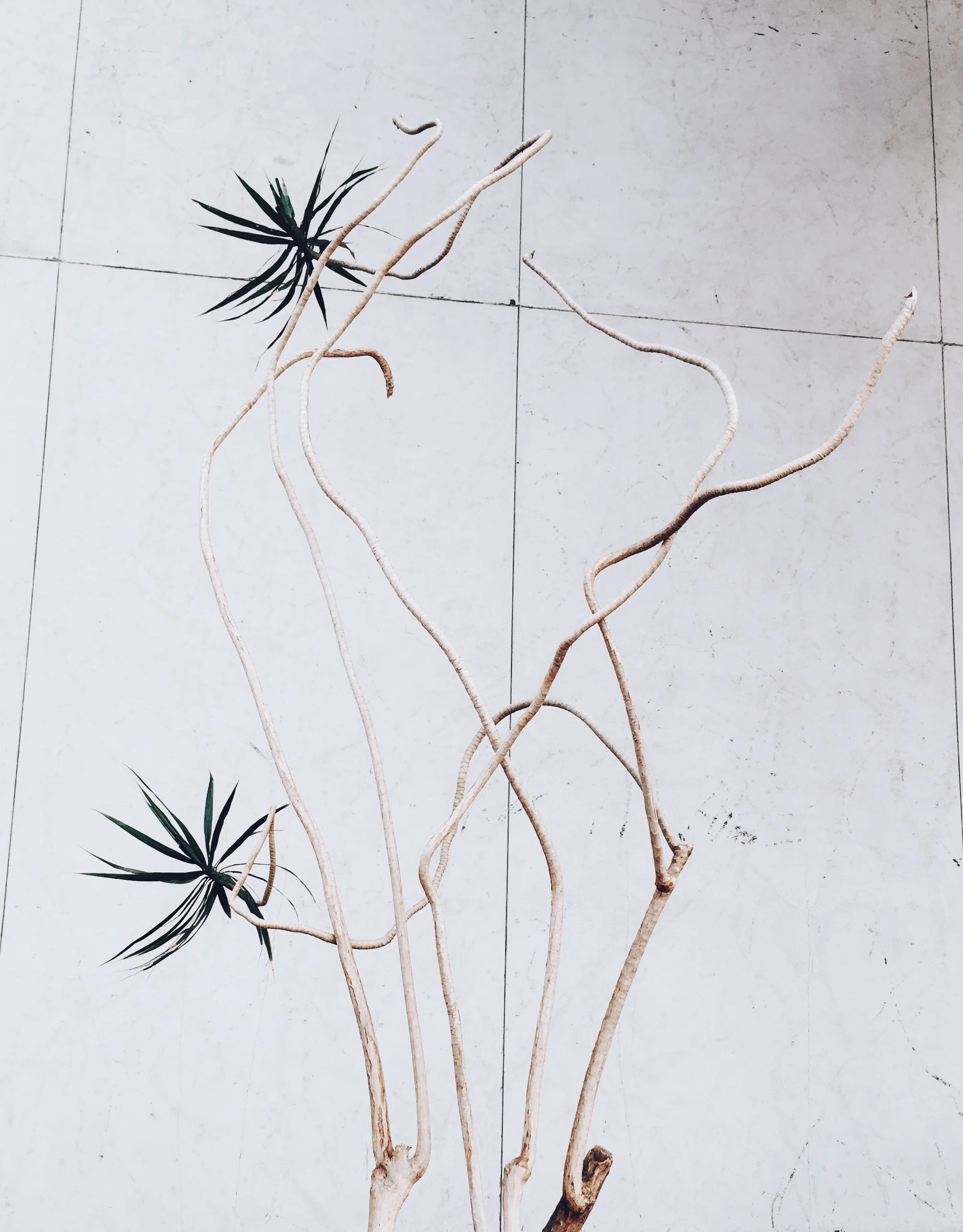 Photo Aug 28, 12 43 15 PM.jpg