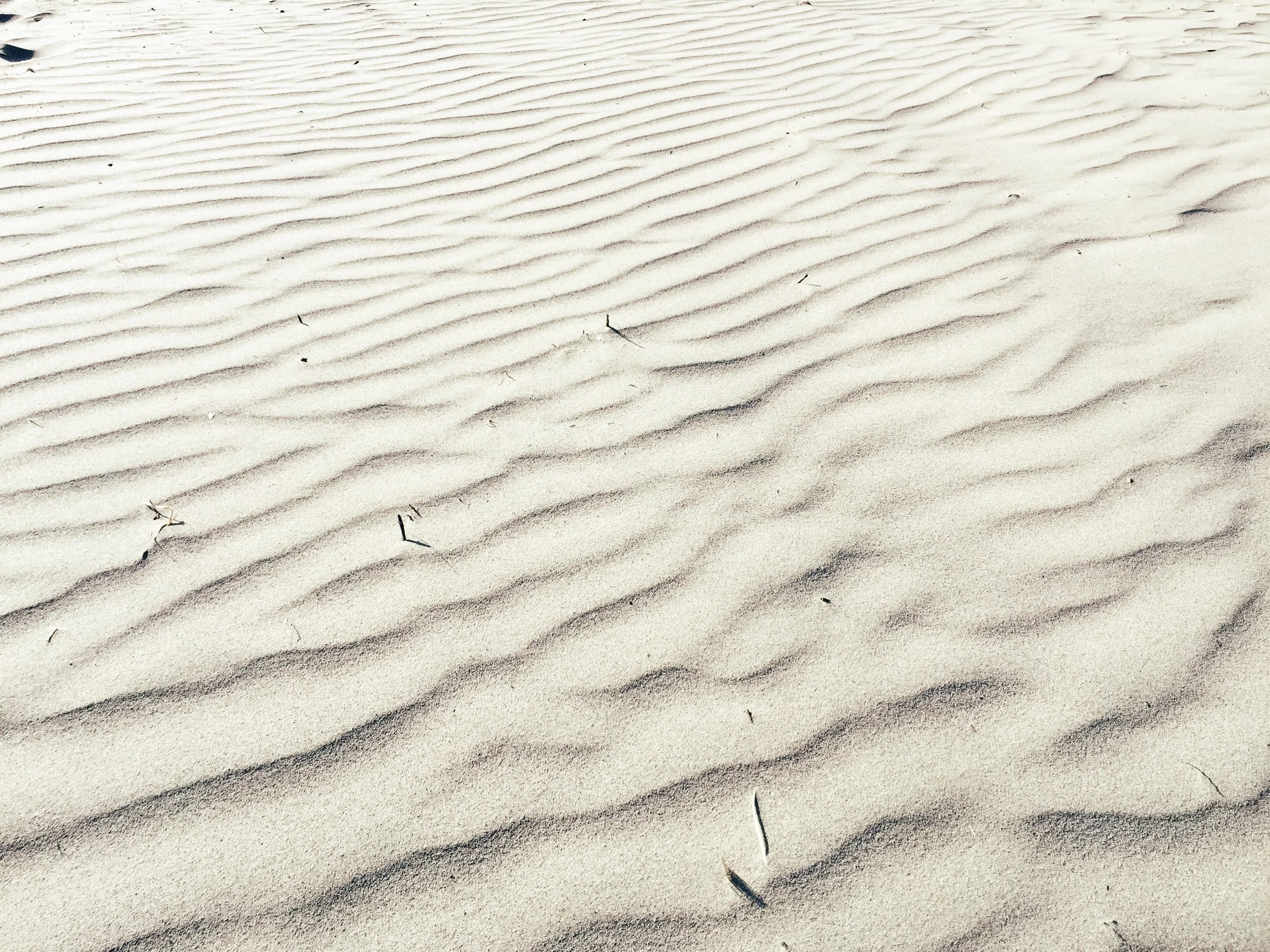 Photo Aug 30, 5 51 42 PM.jpg