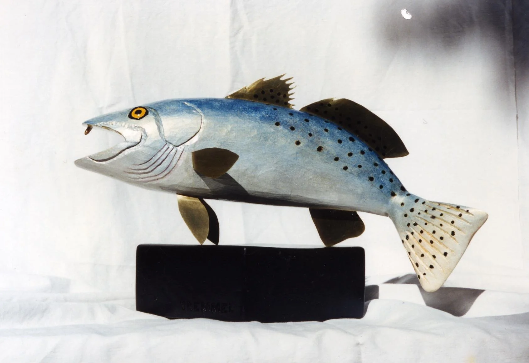 SeaTrout.jpg