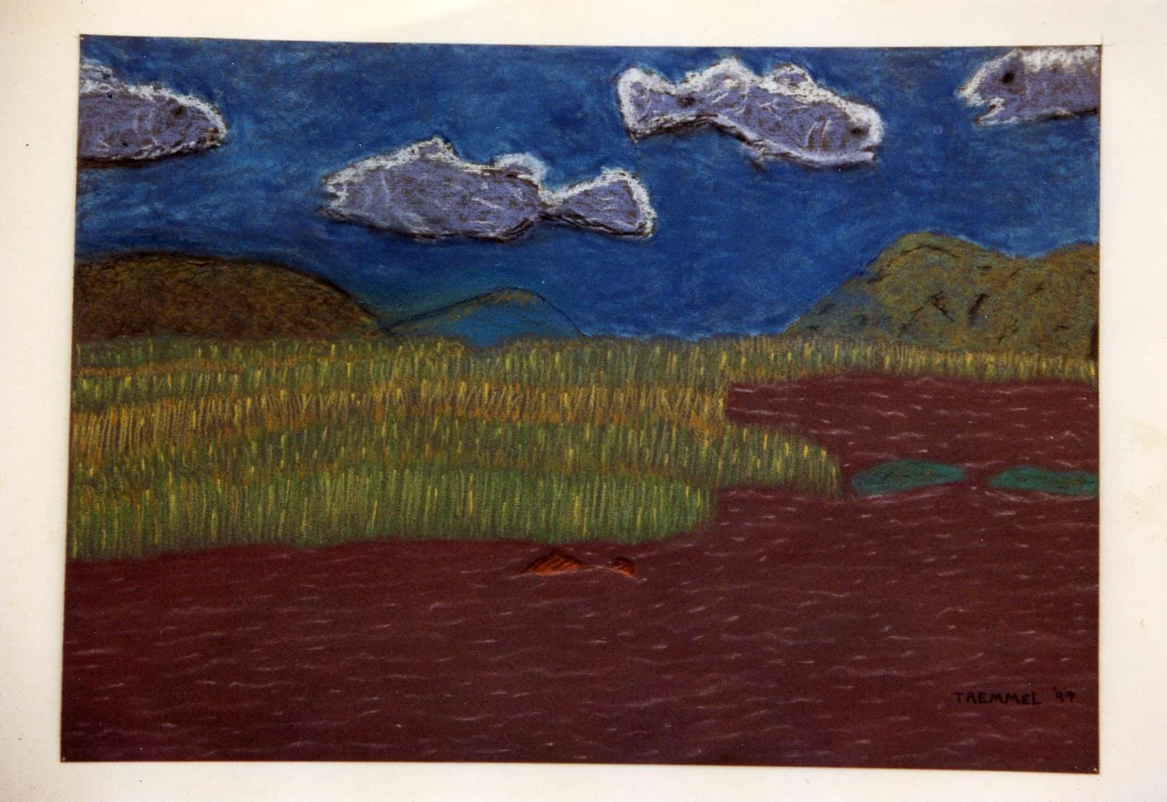 Fish Clouds.jpg