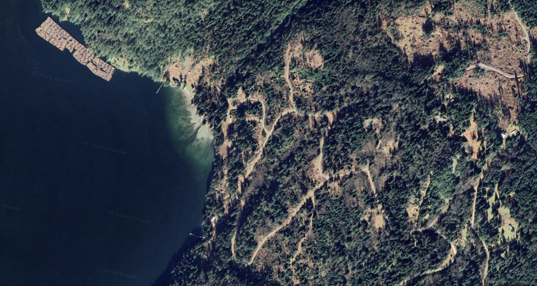 Satellite Image of Cotton Bay