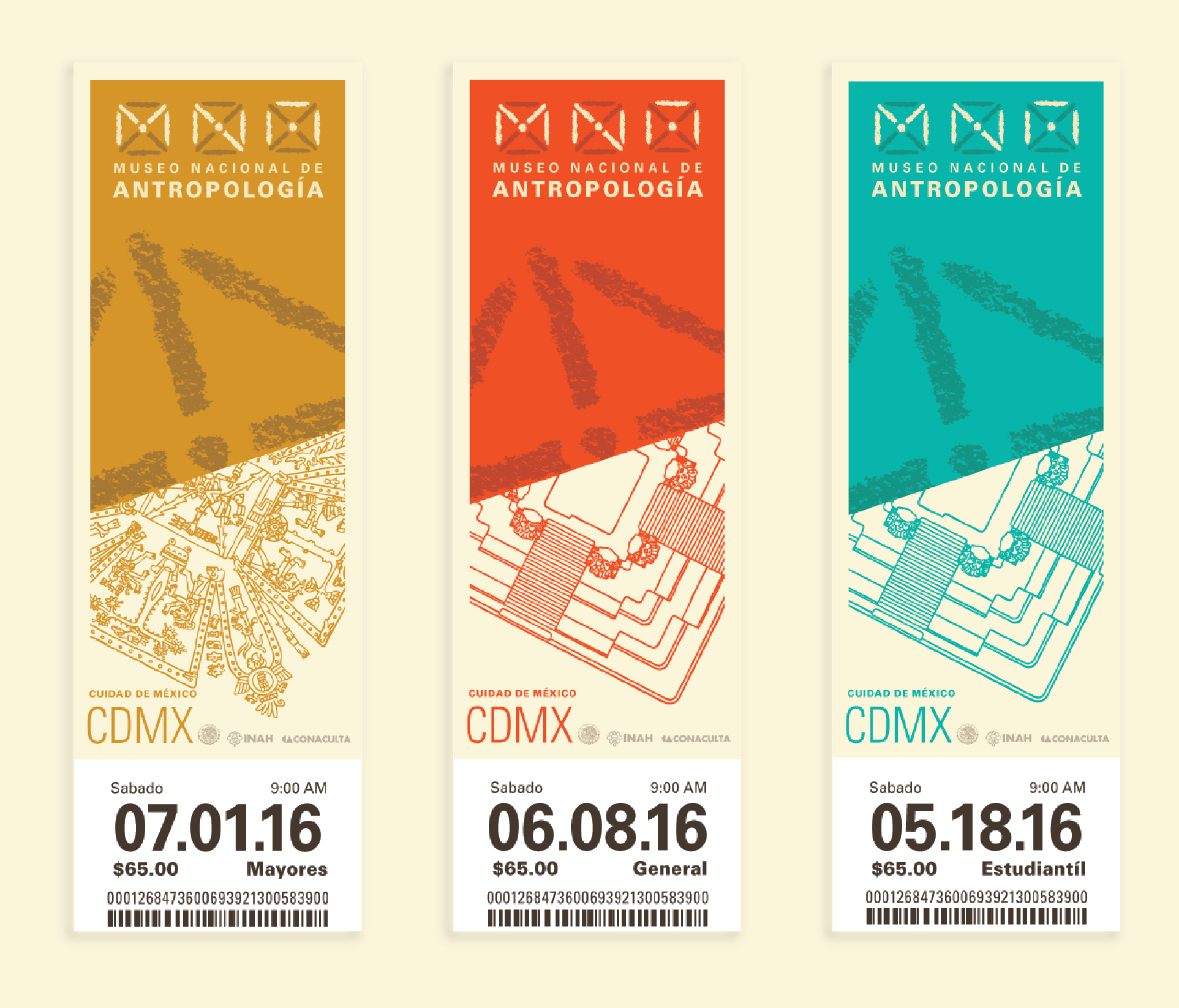 MNA Brand - Closeup-4.png