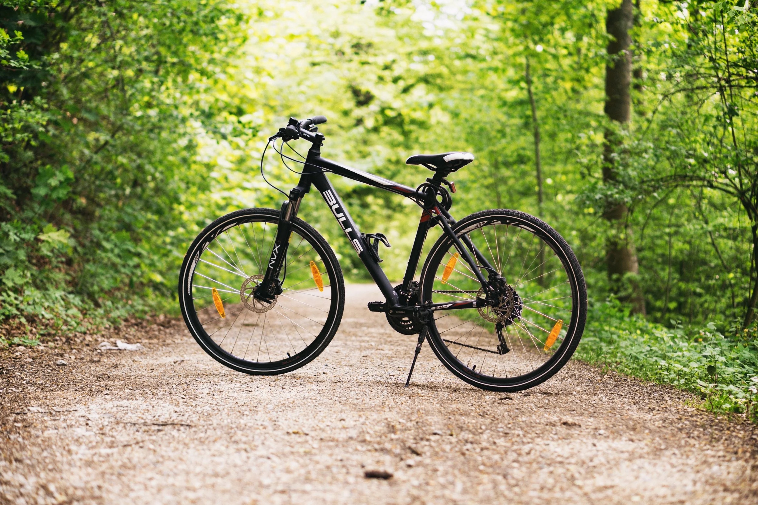 bicycle-bike-daylight-100582.jpg