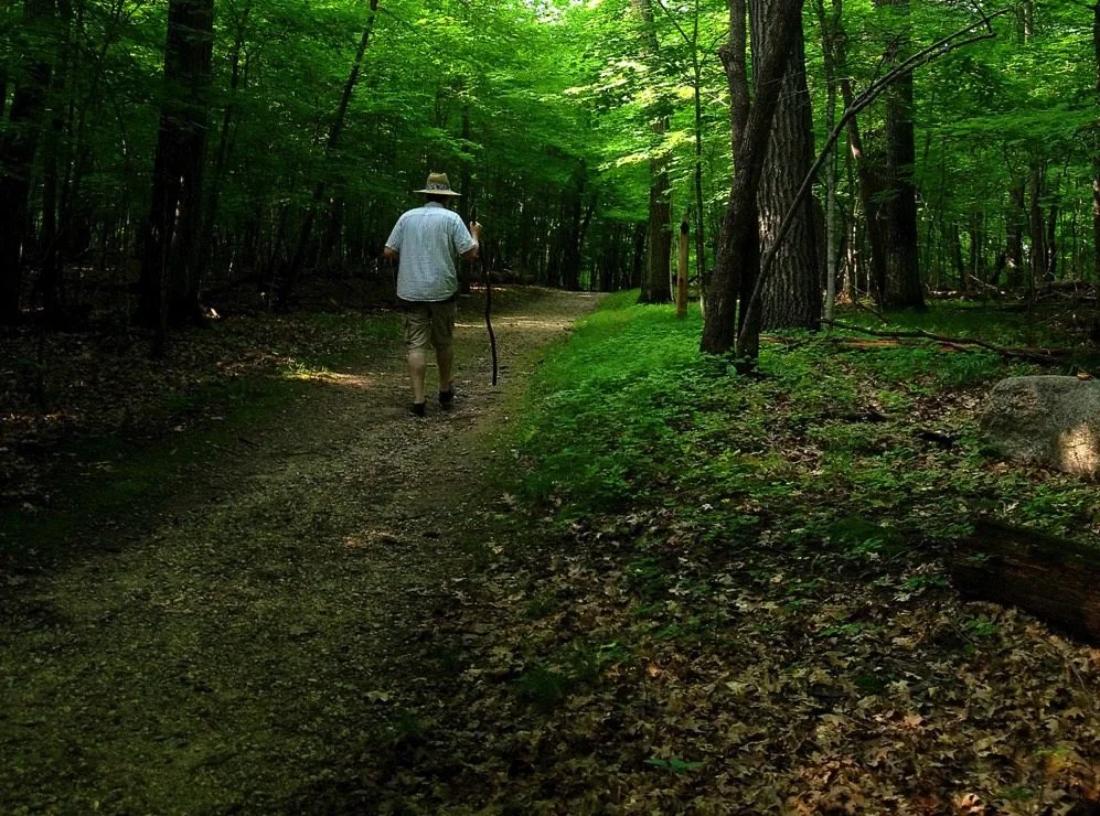 alexandria_hiking.jpeg
