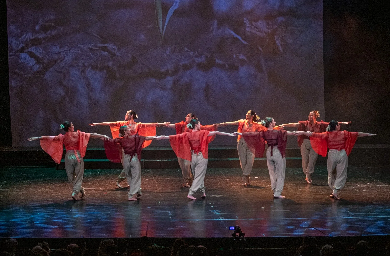 WhatsApp Image 2024-12-21 at 10.26.45 (3).jpeg