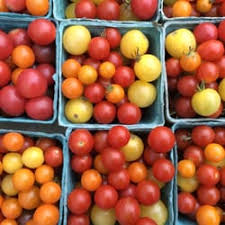 tomates.jpeg